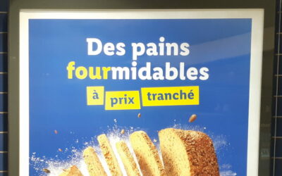 Des miches fourmidables?